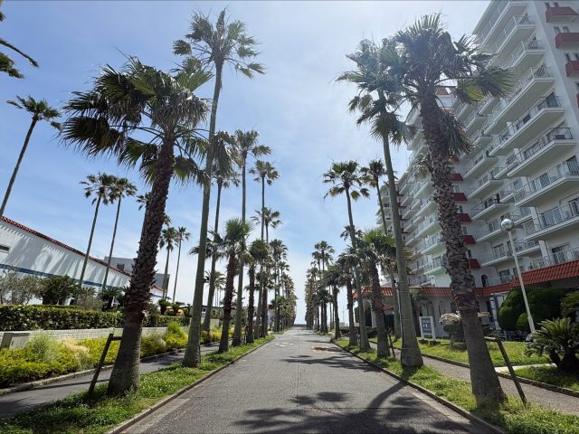湘南・鎌倉エリアを満喫!隠れ癒やしスポットを巡る休日