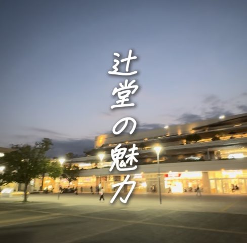 辻堂の住みやすさとは?自然と利便性が魅力の湘南ライフをご紹介🌴✨